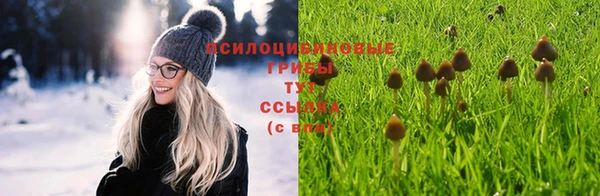 герыч Каменногорск